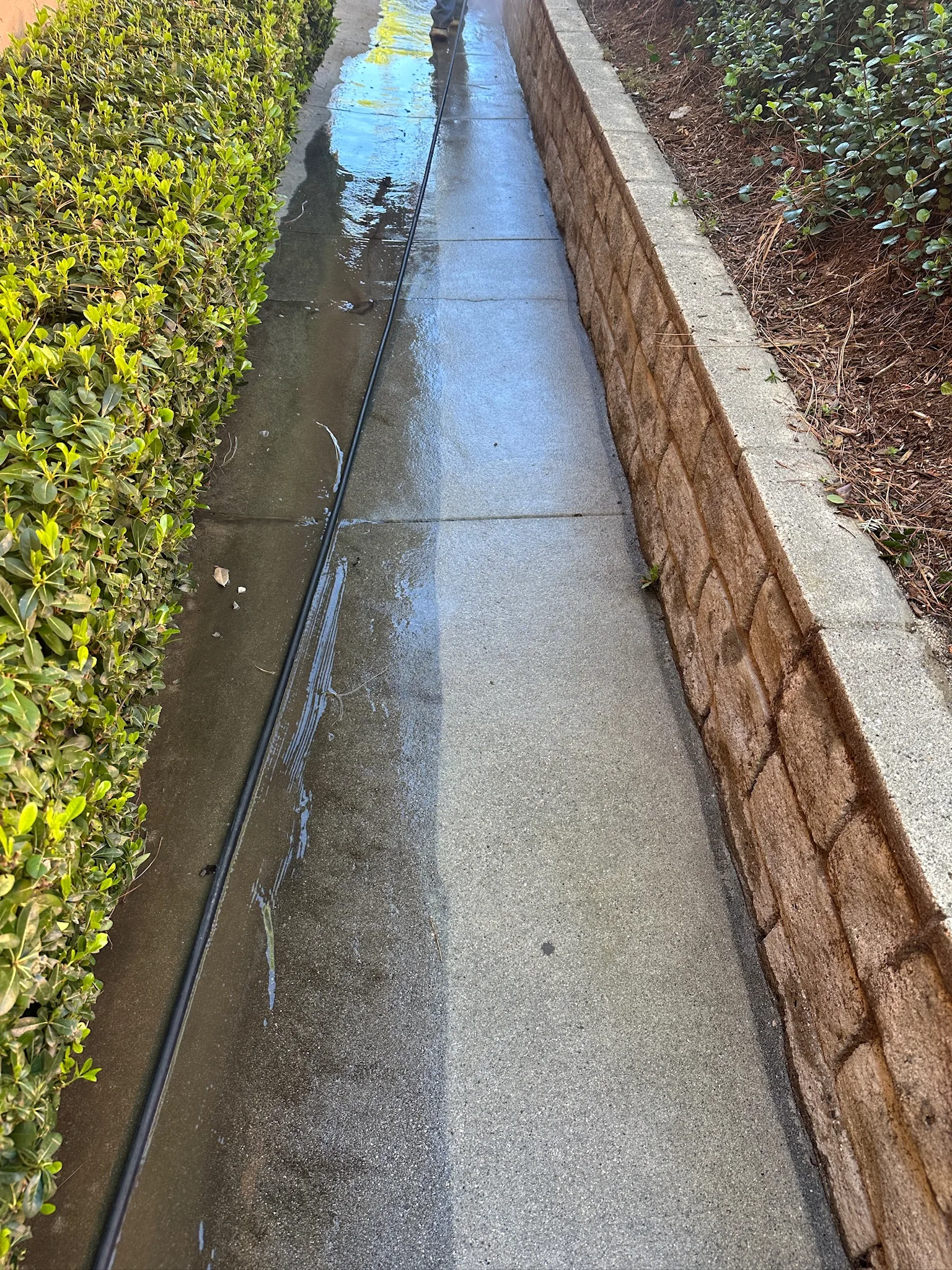 Walkway with a visible cleaned section during pressure washing