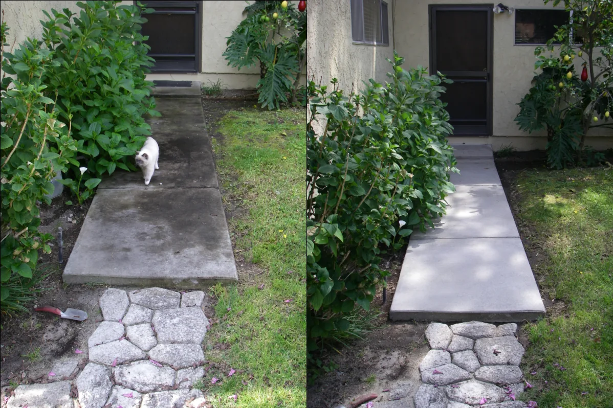 Before and after pressure washing results on a concrete walkway